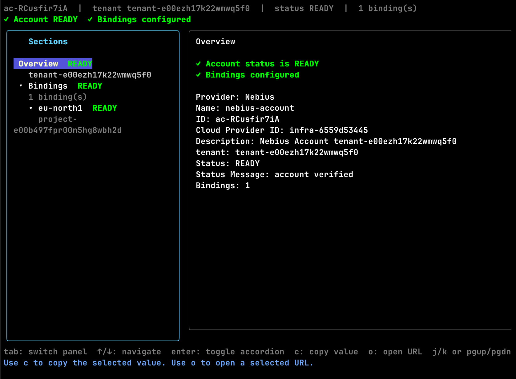 nebius account describe