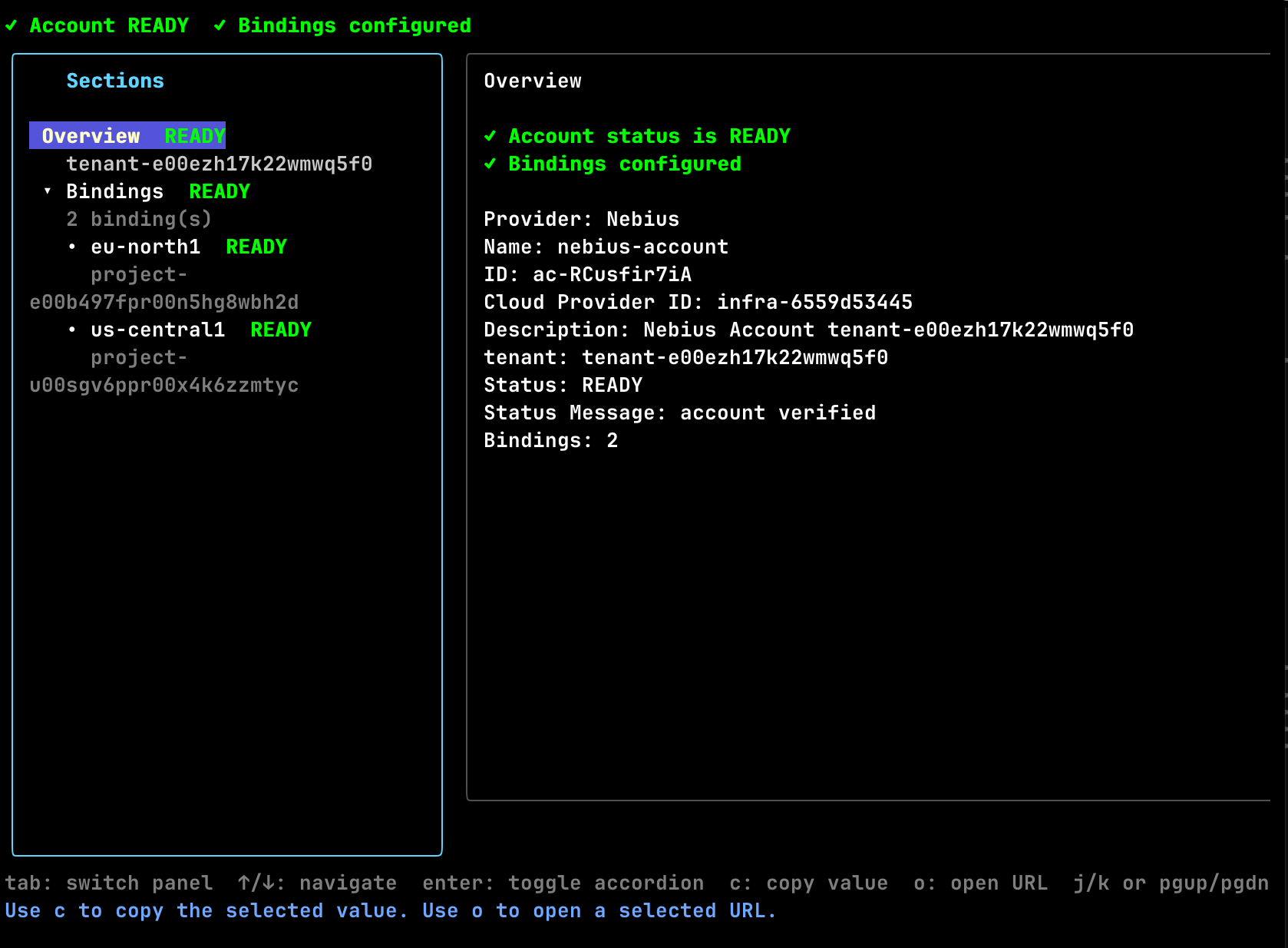nebius account update